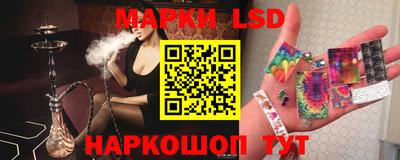 шишки Гатчина