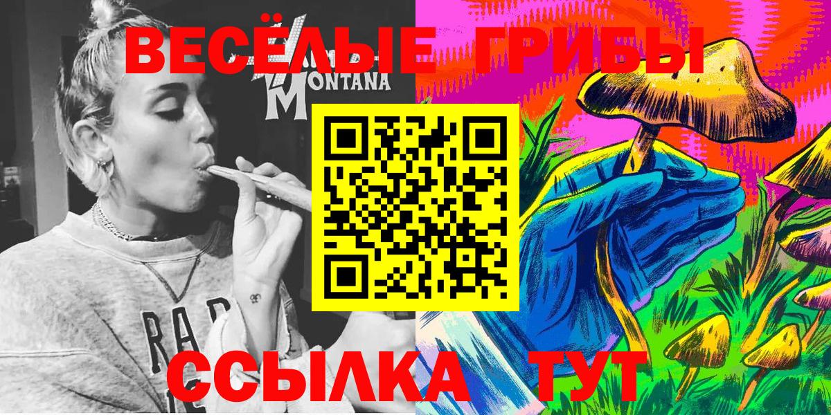 Псилоцибиновые грибы MAGIC MUSHROOMS  Вход с VPN  Орёл 